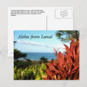 Aloha uit Lanai Hawaii Briefkaart (Voorkant / Achterkant)