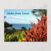 Aloha uit Lanai Hawaii Briefkaart (Voorkant)