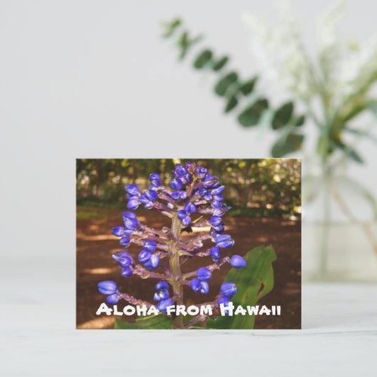 Aloha van Hawaï Briefkaart (Staand voorkant)