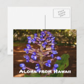 Aloha van Hawaï Briefkaart (Voorkant / Achterkant)