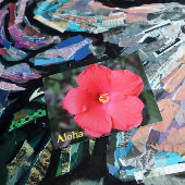 Aloha van Hawaï Hawaïaanse vakantie Briefkaart