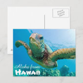 Aloha van Hawaii Honu Groene Zee Schildpad Briefkaart (Voorkant / Achterkant)