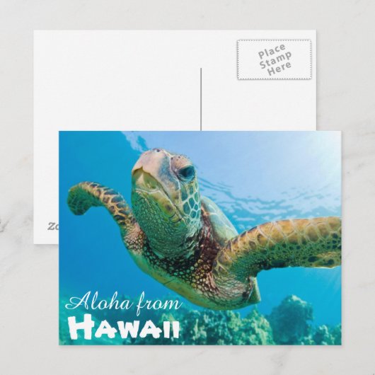 Aloha van Hawaii Honu Groene Zee Schildpad Briefkaart (Voorkant / Achterkant)