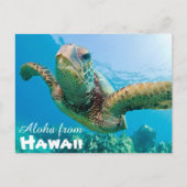 Aloha van Hawaii Honu Groene Zee Schildpad Briefkaart (Voorkant)