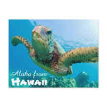 Aloha van Hawaii Honu Groene Zee Schildpad