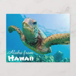 Aloha van Hawaii Honu Groene Zee Schildpad Briefkaart
