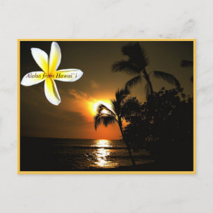 Aloha van Hawaii Plumeria Sunset Briefkaart