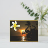 Aloha van Hawaii Plumeria Sunset Briefkaart (Staand voorkant)