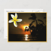 Aloha van Hawaii Plumeria Sunset Briefkaart (Voorkant / Achterkant)