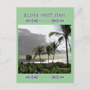"ALOHA VAN MAUI" Palmbomen POST KAART