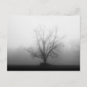 Alone Briefkaart (Voorkant)