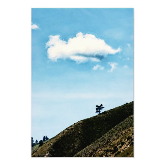 Alone Foto Afdruk (Voorkant)