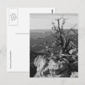 Alone in Arizona Briefkaart (Voorkant / Achterkant)