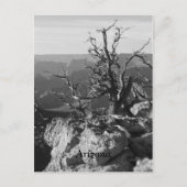 Alone in Arizona Briefkaart (Voorkant)