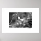 Alone Poster (Voorkant)