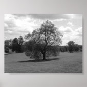 Alone Poster (Voorkant)