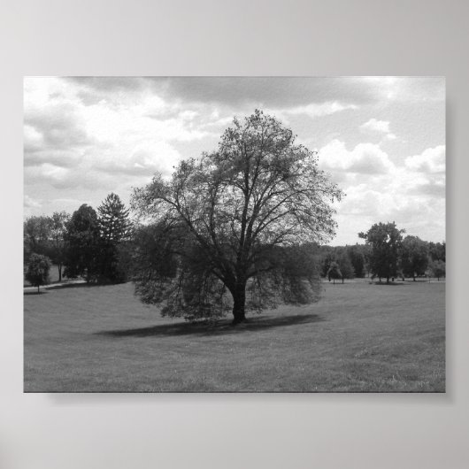 Alone Poster (Voorkant)