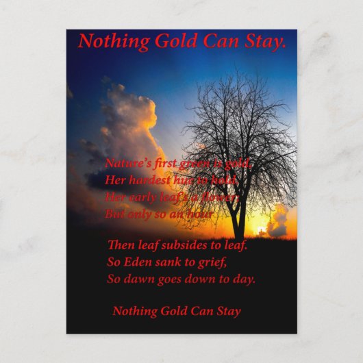 Alone Tree Briefkaart (Voorkant)