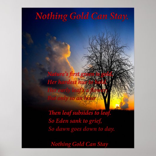 Alone Tree Poster (Voorkant)