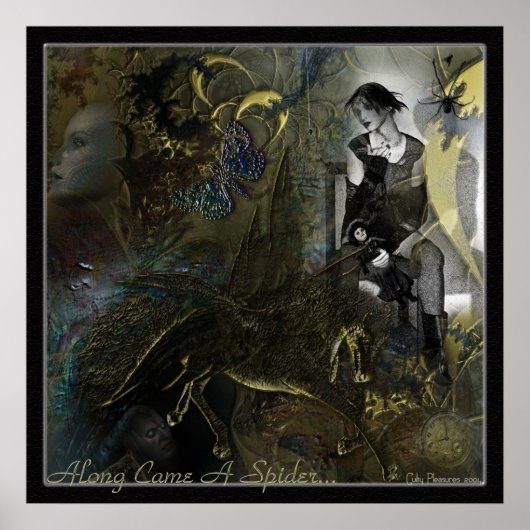 Along Came A Spider... Poster (Voorkant)