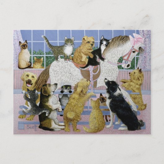 Along for the Ride Briefkaart (Voorkant)