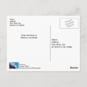 Along Manistee Briefkaart (Achterkant)