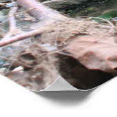 Along Rivers and Rocks Poster (Hoek)
