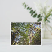 Along the trail briefkaart (Staand voorkant)