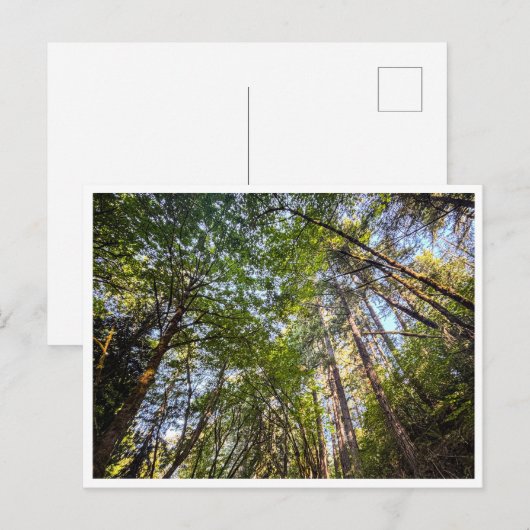 Along the trail briefkaart (Voorkant / Achterkant)