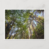 Along the trail briefkaart (Voorkant)