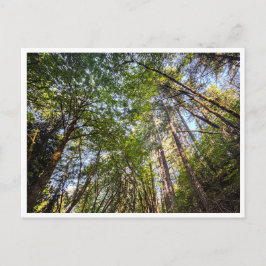 Along the trail briefkaart