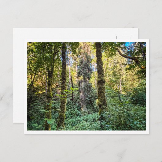 Along the way briefkaart (Voorkant / Achterkant)