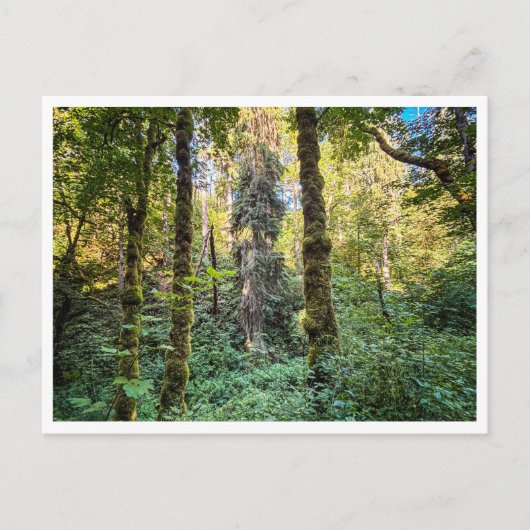 Along the way briefkaart (Voorkant)