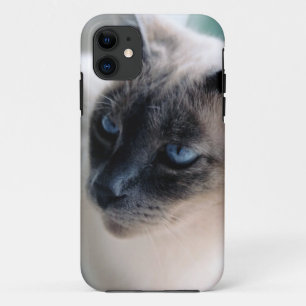 Aloof Siamese Cat Hoesje-Mate iPhone 5 Hoesje