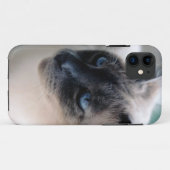 Aloof Siamese Cat Hoesje-Mate iPhone 5 Hoesje (Achterkant (horizontaal))