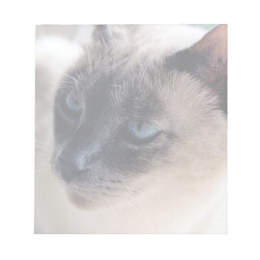 Aloof Siamese Cat Notitieblok (Voorkant)