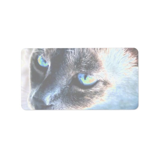 Aloof Siamese Cat Veranderd Label II (Voorkant)