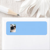 Aloof Siamese kat Label (Insitu)