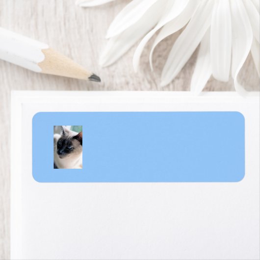 Aloof Siamese kat Label (Insitu)