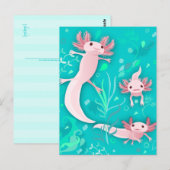 Alotta Axolotls Briefkaart (Voorkant / Achterkant)