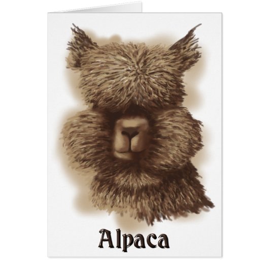 Alpaca (Voorkant)