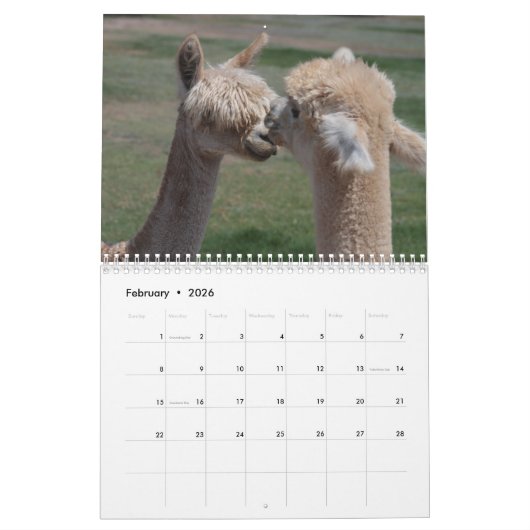 Alpaca 2021 Kalender (Feb 2026)