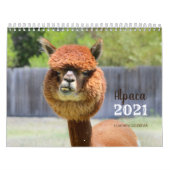 Alpaca 2021 Kalender (Hoes)