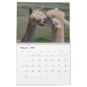 Alpaca 2021 Kalender (Feb 2027)