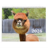 Alpaca 2024 Kalender (Hoes)