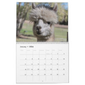 Alpaca 2024 Kalender (Jan 2026)