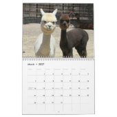 Alpaca 2024 Kalender (Mar 2027)