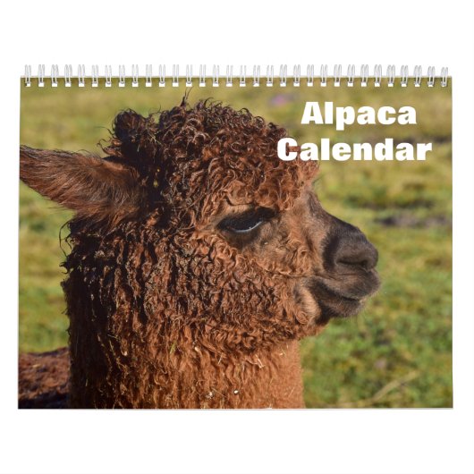 Alpaca 2025 kalender (Hoes)