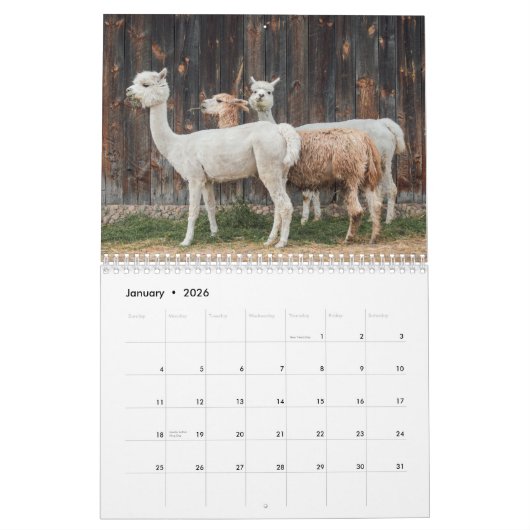 Alpaca 2025 kalender (Jan 2026)