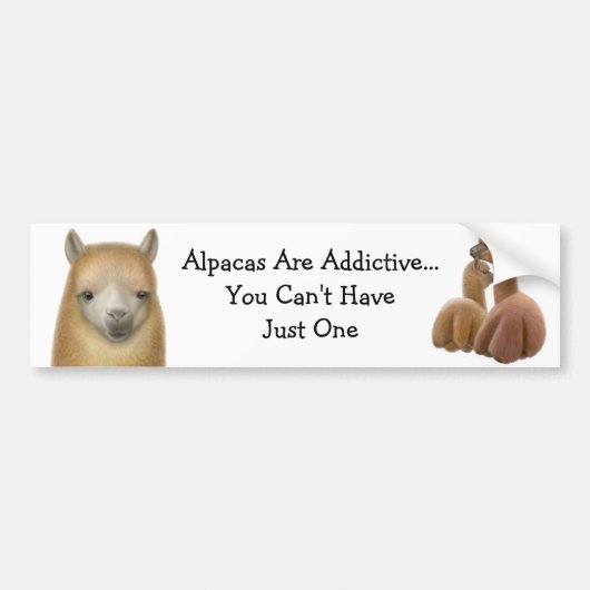Alpaca Addication Bumpersticker (Voorkant)